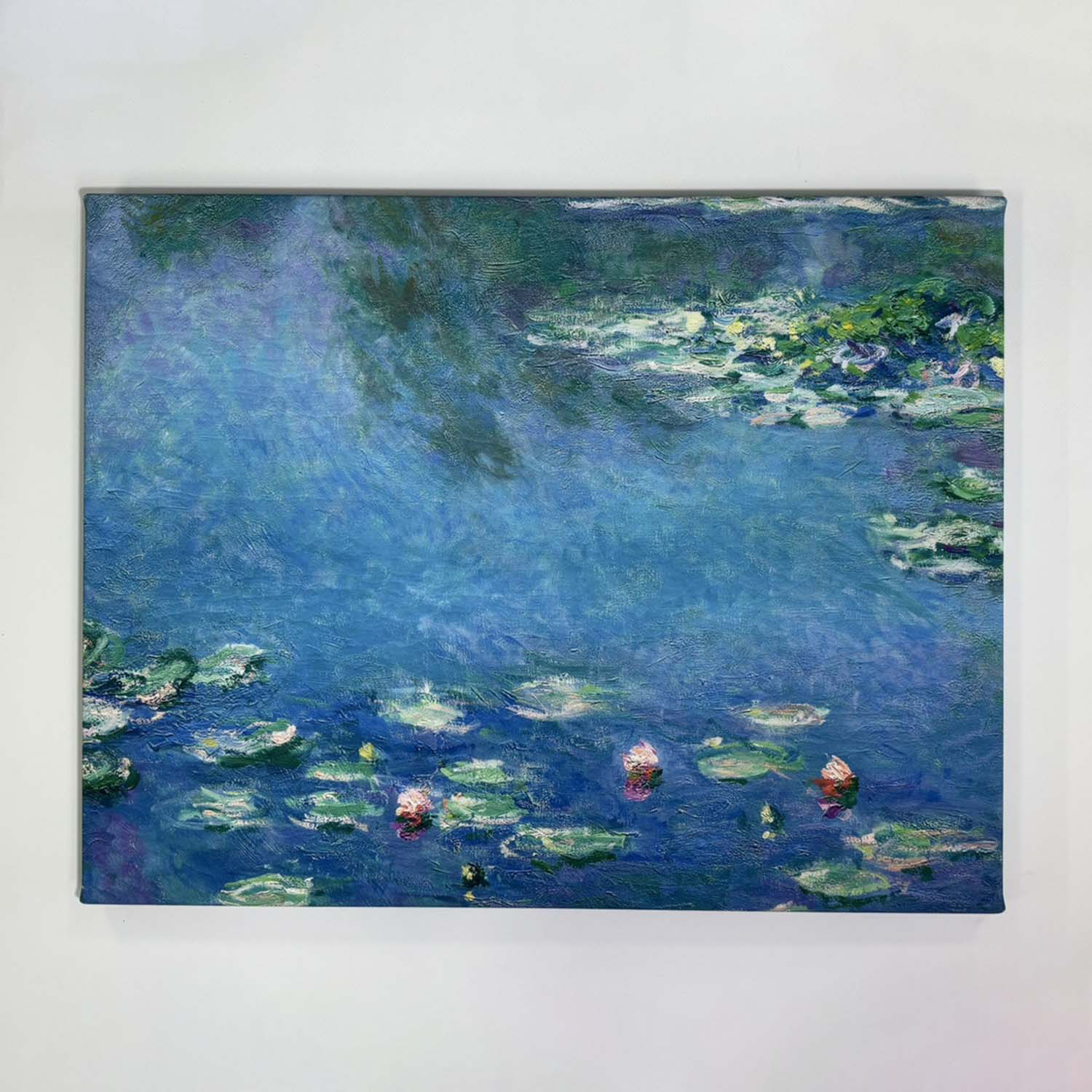 額入　限定版画　サイン 番号有　ジニーキム　睡蓮　インテリアアート　蓮　春 インテリアアート 睡蓮 ＜約31．8×41cm＞- ショップチャンネル