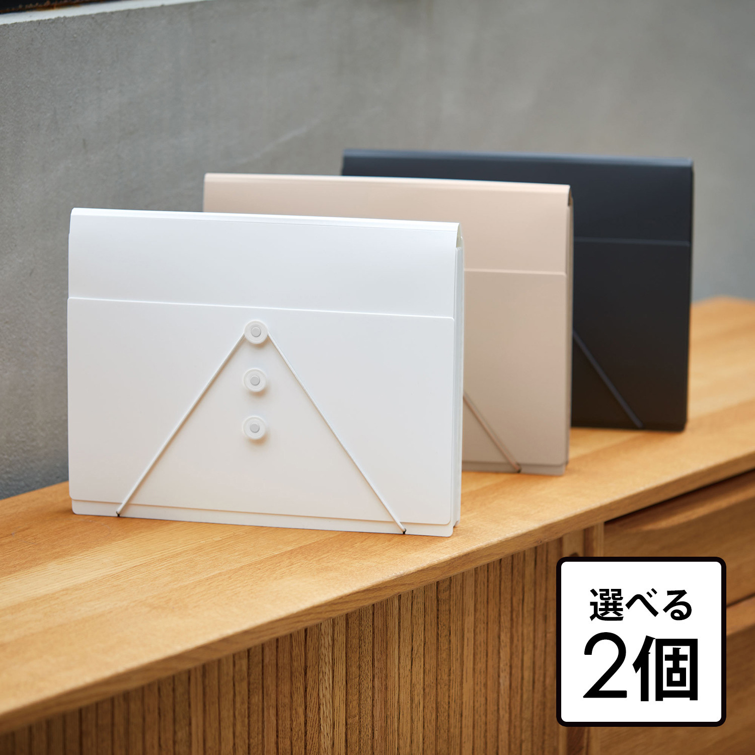 サクッと整理！ ドキュメントファイル 選べる2個セット ＜フタ付