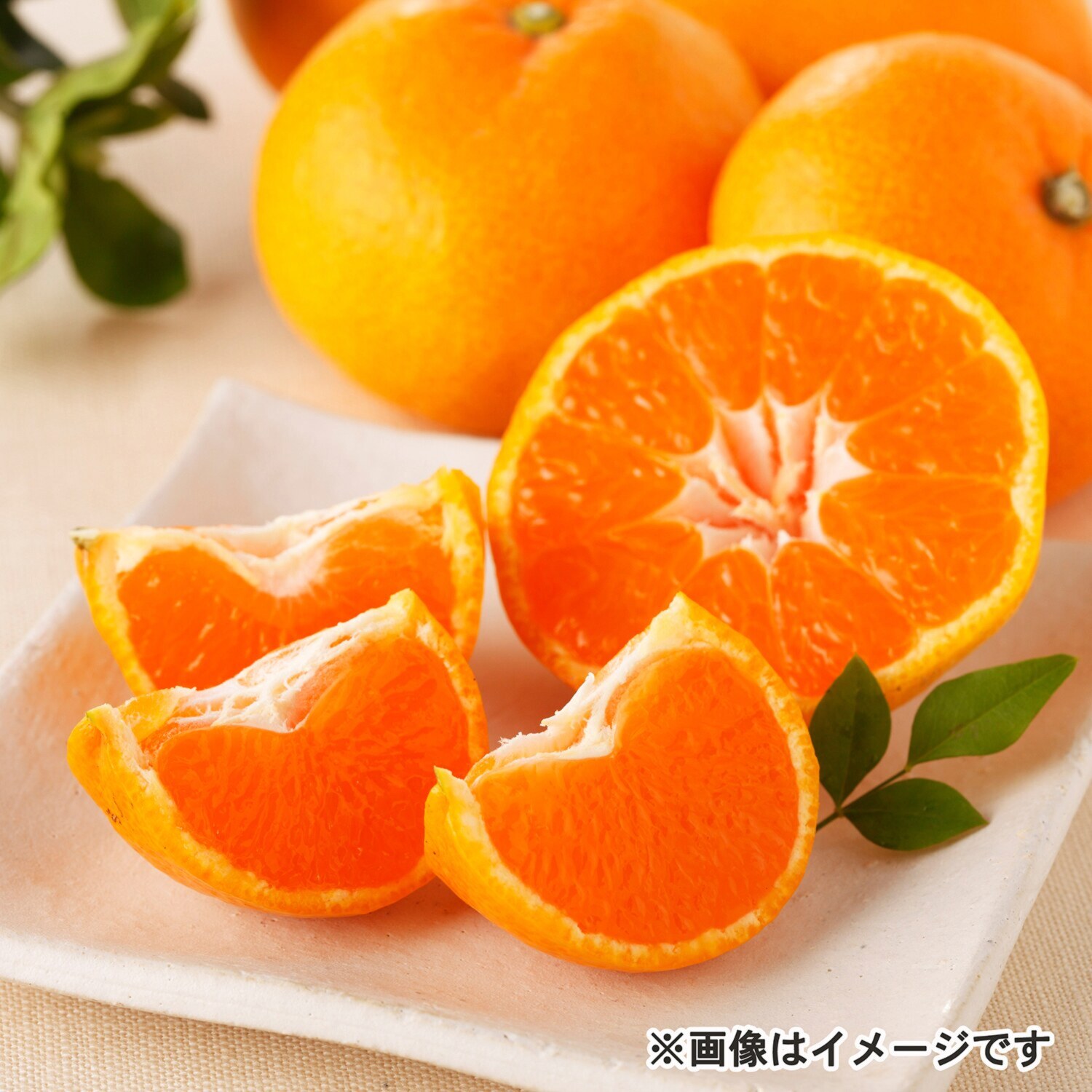 厳選みかん “太陽の雫”